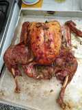 Pavo al horno