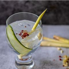 A picture of ‘Mocktail Lemongrass Gin and Tonic’.