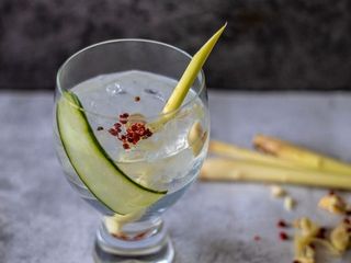 ‘Mocktail Lemongrass Gin and Tonic’