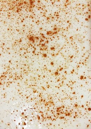 Foto principal de Arroz con leche😋