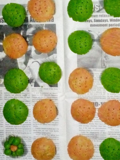 A picture of Cookies.