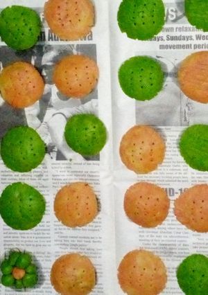A picture of Cookies.