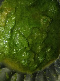 পালং পনির (palang paneer recipe in Bengali) রেসিপির প্রধান ছবি