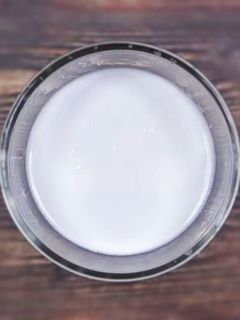 தேங்காய் பால் (Coconut milk recipe in tamil) செய்முறை முக்கிய புகைப்படம்