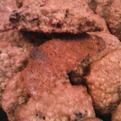 A picture of Oatmeal Cranberry Cookies with White Chocolate Chips.