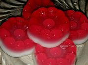 Gambar agar swallow putih