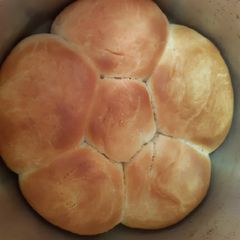 A picture of Homemade Pav.