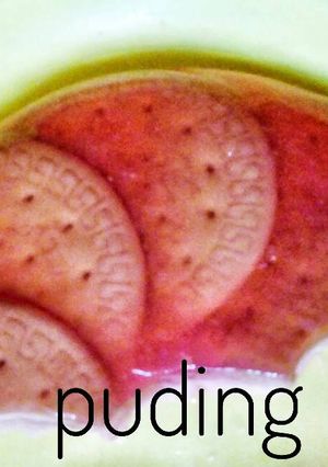 Foto resep Puding merrie