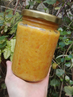 Una foto de Mermelada de naranja y mandarina!