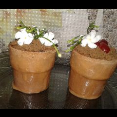 A picture of Chocolate magic flower pot.