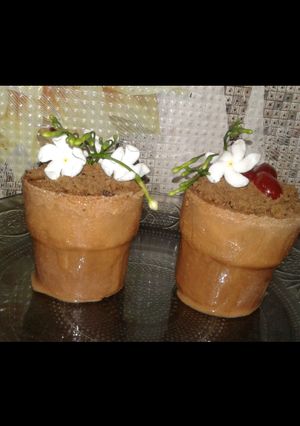 A picture of Chocolate magic flower pot.