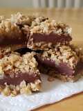 No-Bake Chocolate Oat Bars (Gluten-Free, Dairy Free, and Sugar Free options)
