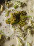 Broccoli with Creamy Cheese Sauce