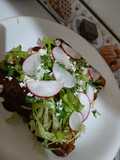 Comitán-Style Mole Enchiladas (Chiapas)