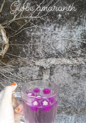 Foto resep Globe amaranth tisane