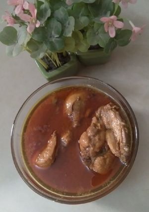 A picture of Shahi Korma.