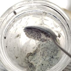 A picture of Chia Seed Pudding.