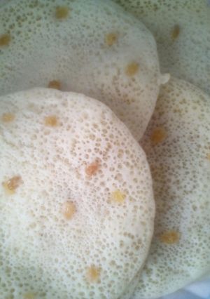 صورة لوصفة بغرير خفيف بالزبيب