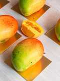 Entremet de mango