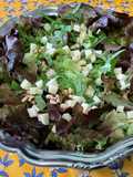 Salade feuille de chêne aux pignons, tome de brebis et ail des ours