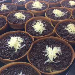 รูปของ Martabak mini