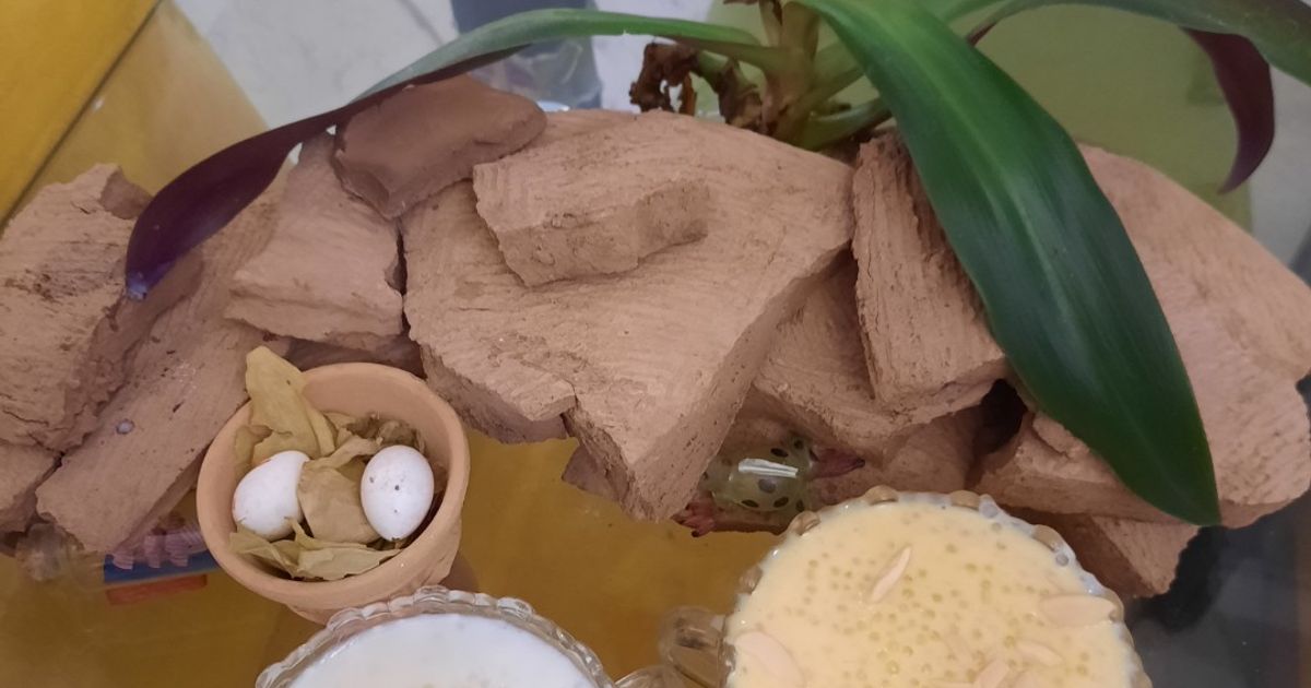 ساگو چیست و چه کاربردهایی دارد؟!