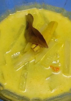 Foto resep Sayur santan pepaya muda simple (gangan santan gedang)