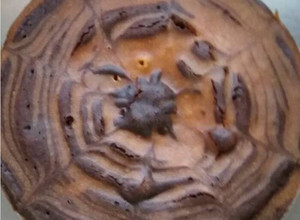 A picture of Zebra cake (marble)in cooker.