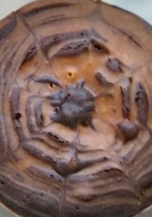 A picture of Zebra cake (marble)in cooker.