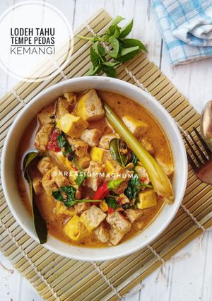 Foto resep Lodeh Tahu Tempe Pedas Kemangi
