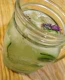 Gin & tonic de pepino y lavanda