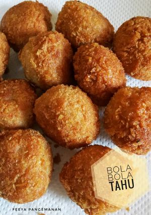 Foto resep Bola-Bola Tahu Goreng
