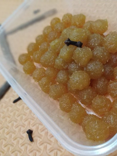 Foto resep Selai nanas nastar