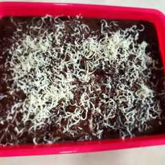 Puding nutrijell coklat keju রেসিপির প্রধান ছবি