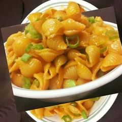 Shell Pasta A picture of Shell Pasta.