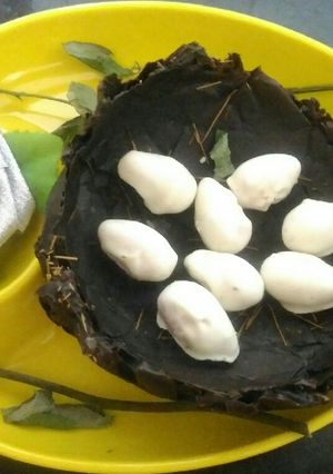 A picture of Murmura Bird's Nest.
