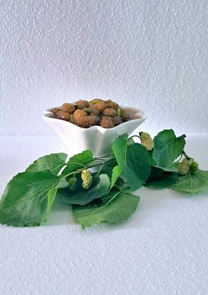 عکسی از دستور مربای توت سفید