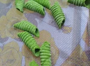 Foto di Garganelli alla bietola pasta fresca