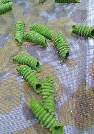 Foto di Garganelli alla bietola pasta fresca
