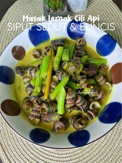 Gambar Masak Lemak Cili Api Siput Sedut & Buncis