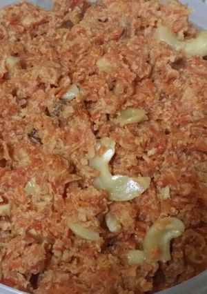 A picture of Gajjarella.