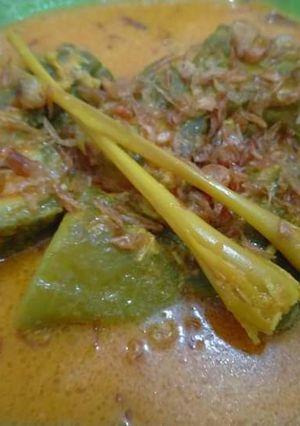 Foto resep Paria kambuu