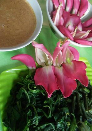 Foto resep Pecel kembang turi.... Ciaaaa.. Ooo