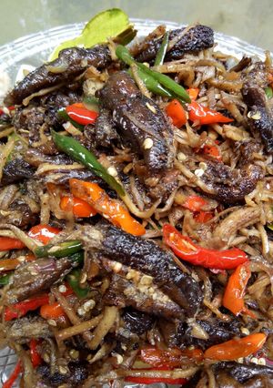 Foto resep Oseng Belut Lombok Ijo