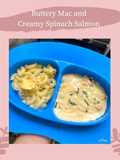 Buttery Mac and Creamy Spinach Salmon MPASI 1+ Anti GTM