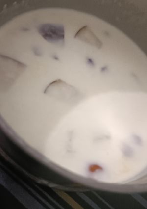 A picture of Custard.