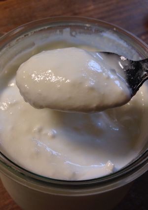 A picture of Homemade Yoghurt.