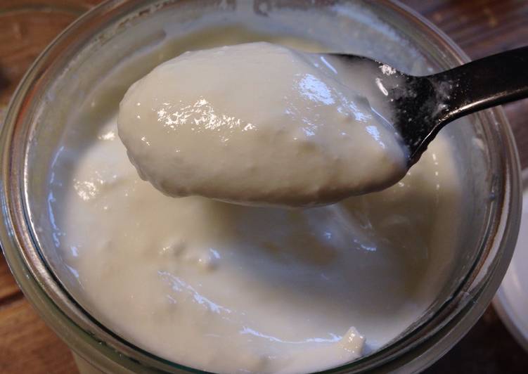 Recipe of Homemade Homemade Yoghurt