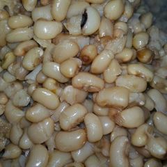 A picture of Plain Beans.