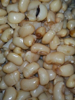 A picture of Plain Beans.